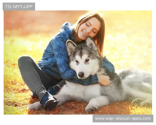 飞盘比赛犬只乱入抢走飞盘被封“最佳助攻”