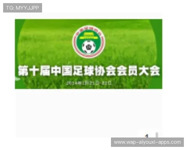 中国足球协会公开年度预算，中国足球协会会员协会