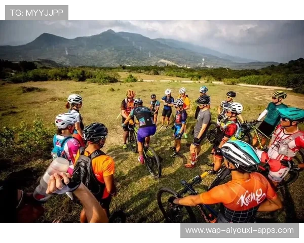 城市运动社群组织结构更加规范，中国城市社会运动的方式