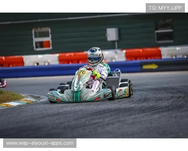 赛车青训体系发展与分析