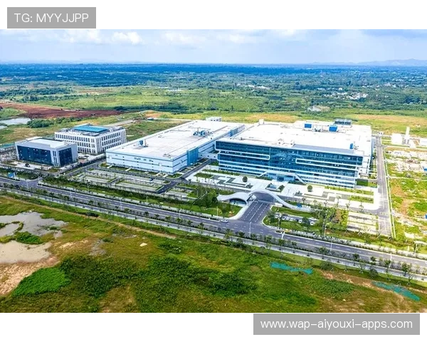 体育用品研发中的材料创新与功能性验证路径