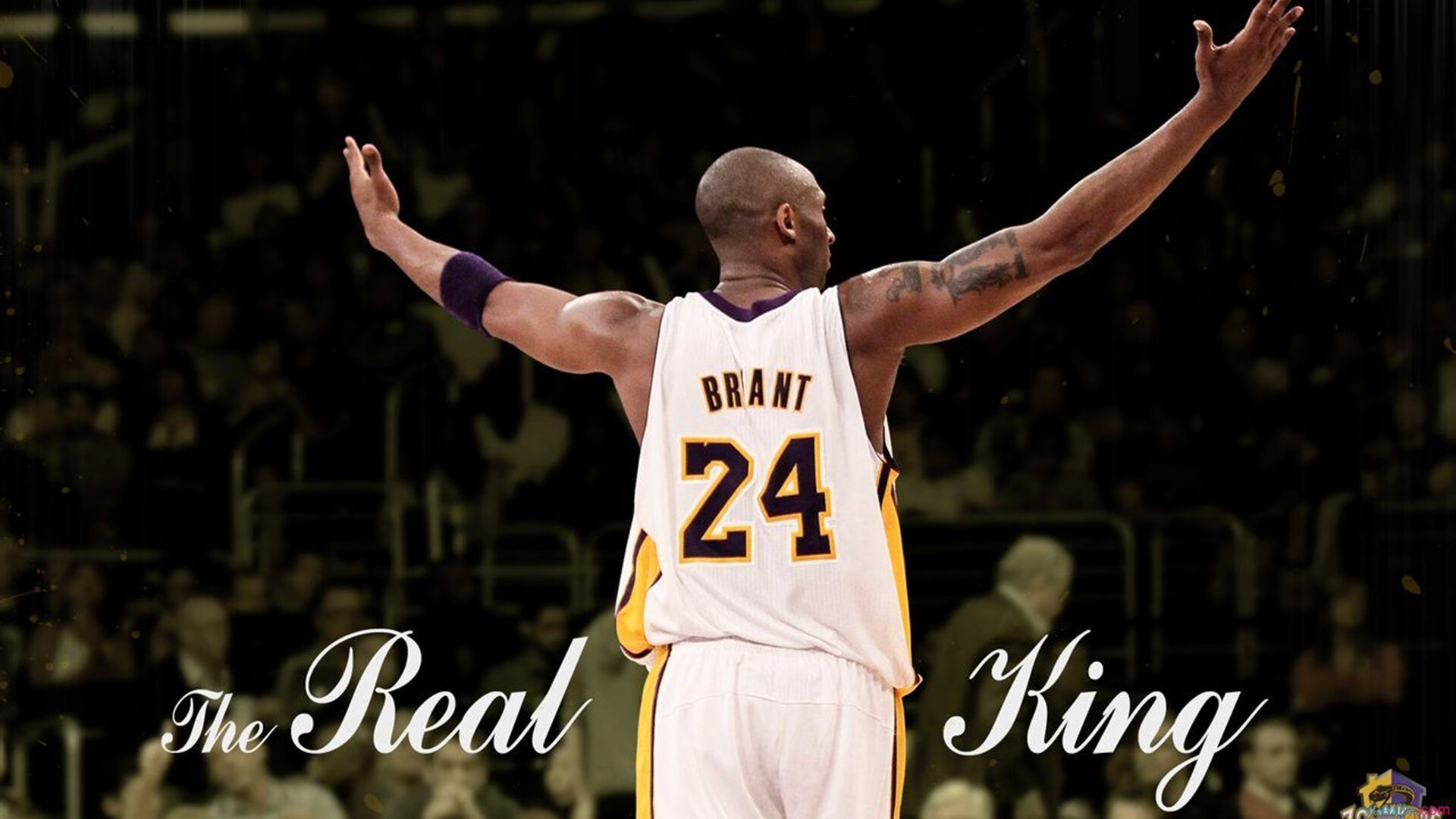 爱游戏app-NBA球员专项力量训练与伤病预防研究，篮球专项力量